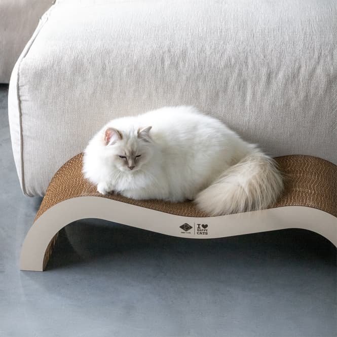 D&D Kratzwelle Archie zweiteilig - braun/beige 6