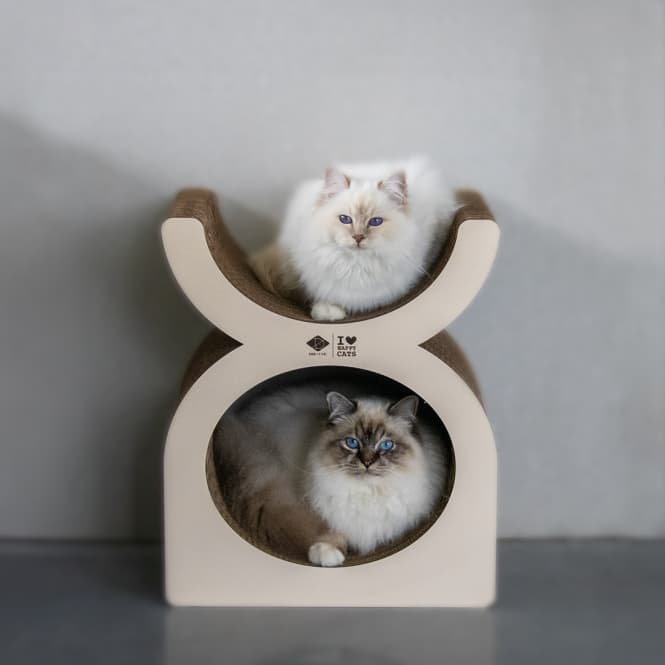 D&D Kratzplayground Faye dreiteilig - braun/beige 5