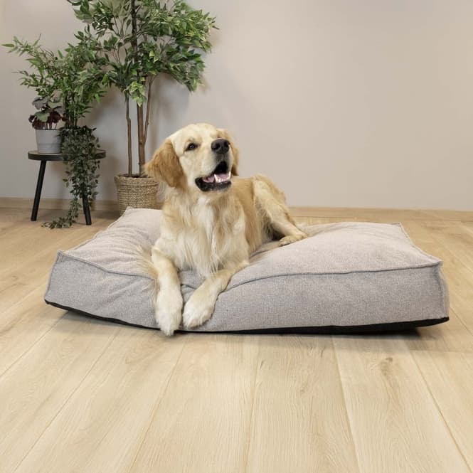 D&D Matratze Eden - taupe - 70x50x14cm 6