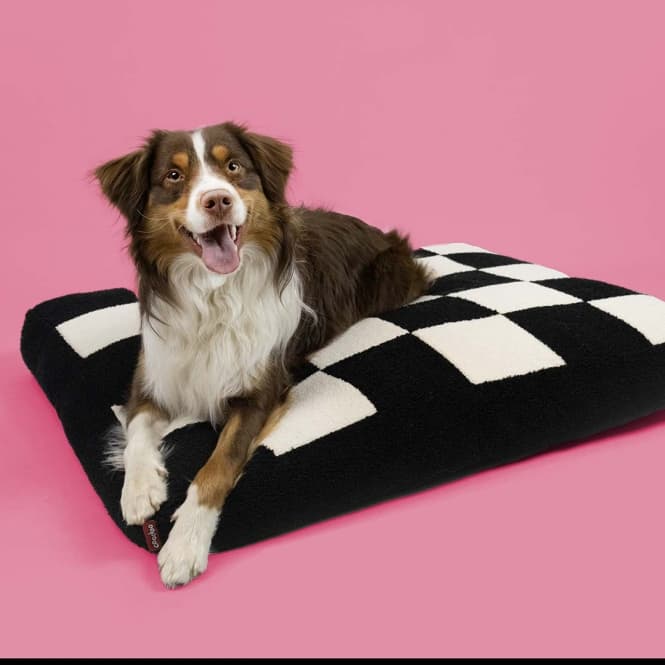 Coockoo Hundekissen Cozy Block - 90x75x11cm 2