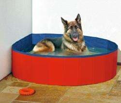 Karlie DOGGY POOL der Swimmingpool für Hunde - Rot-Blau - 120 cm 2