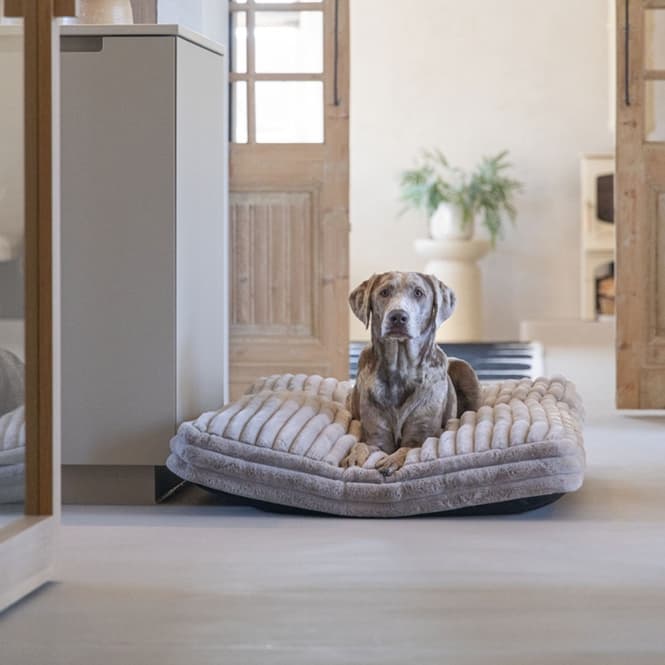 Designed by Lotte Hundekissen Reza - Beige - 120 x 80 cm 2