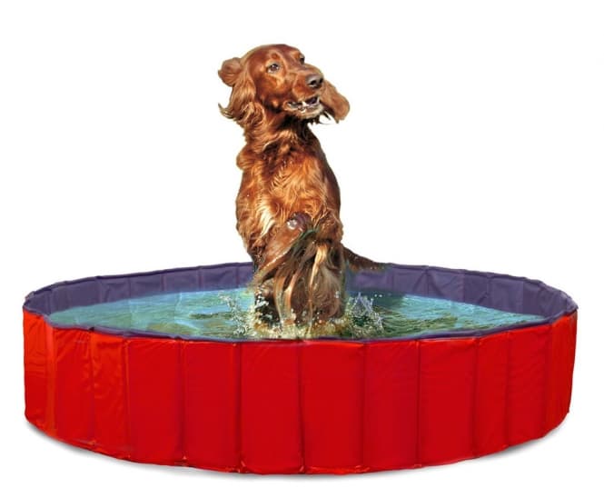 Karlie DOGGY POOL der Swimmingpool für Hunde - Rot-Blau - 160 cm 2