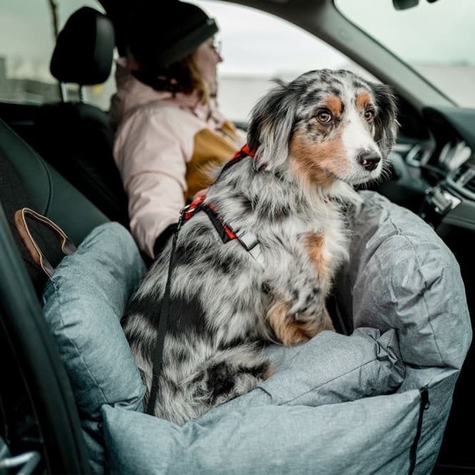Nobby Autositz/Reisebett Bena - hellgrau 3