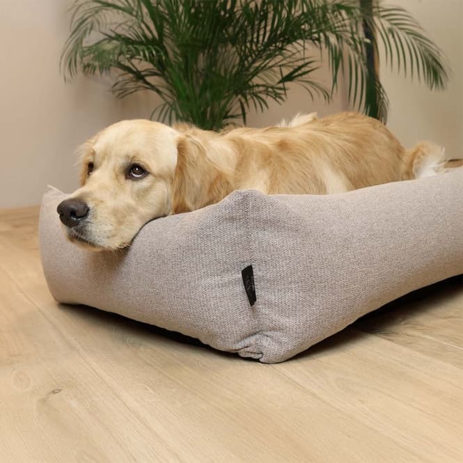 D&D Hundebett Eden - taupe - 70x60x20cm 4