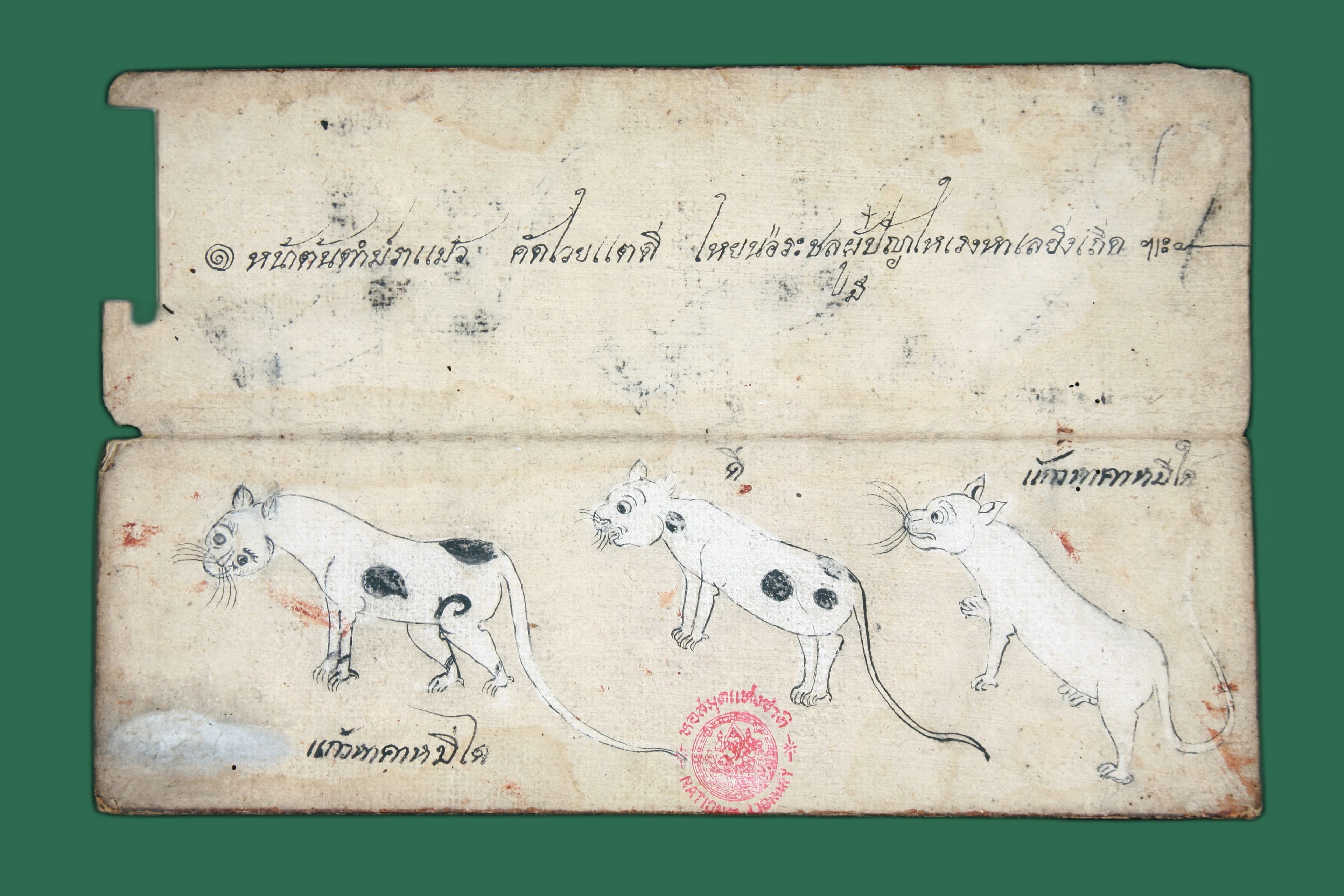Ernaehrung fuer Khao Manee, Futterplatz und Futterautomat