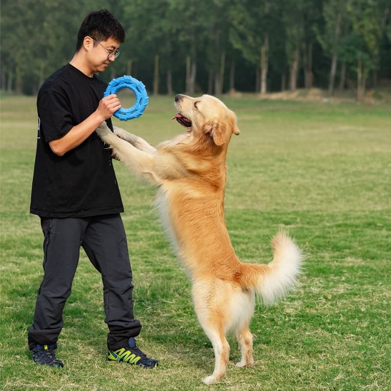 Lightweight weich TPR Foam Hundespielzeug