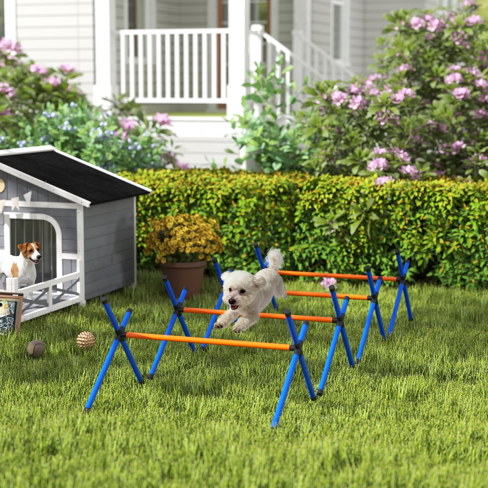 4 Pieces Hund Agility Zubehör, Hund Agility Parcours Garten Set mit