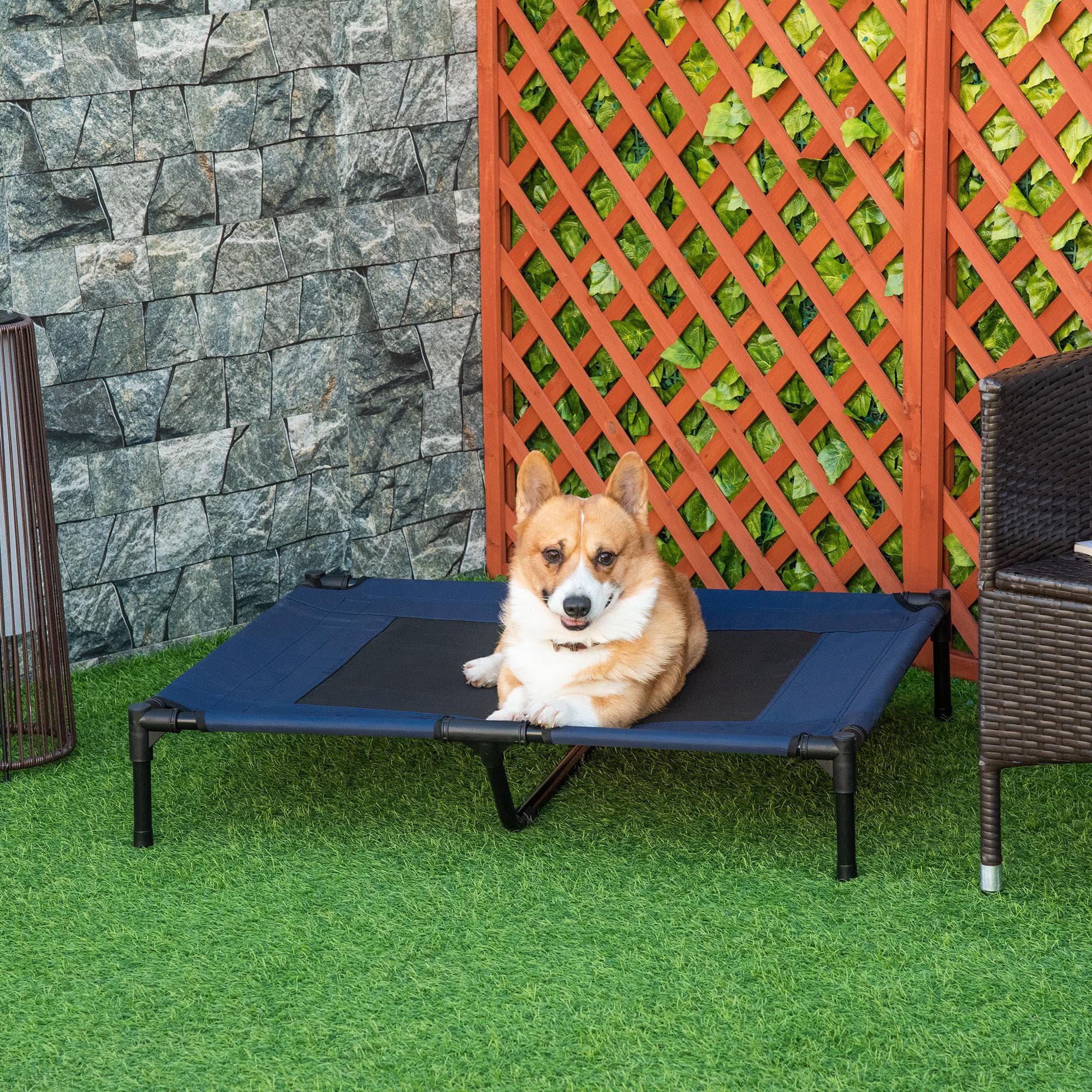 36" X 30" Erhöht Kühl Summer Hund Cot Tier Bett mit Gitter Ventilation