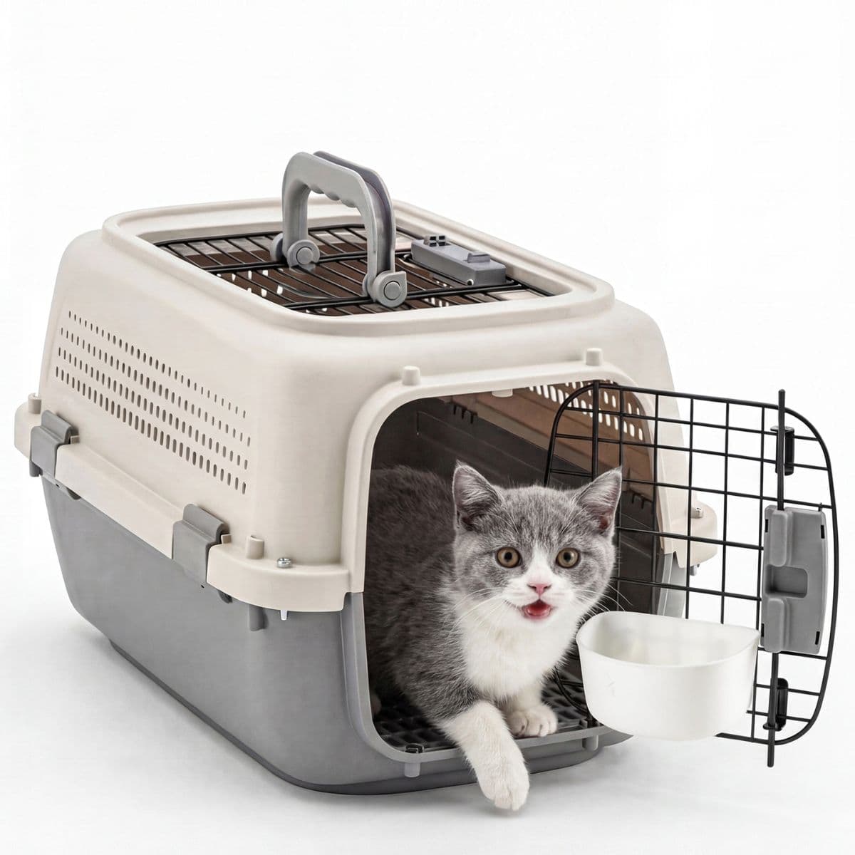 Hard-Sided Hund und Katze Tragetasche, Tsa Airline Approved, für Klein