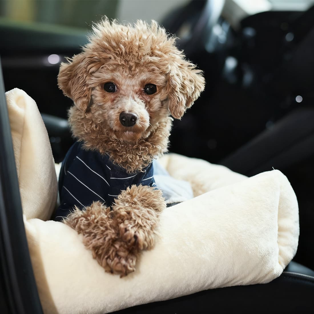 Travel Hund Bett Weich Waschbar Tier Welpe Katze Car Seat Cushion Comf