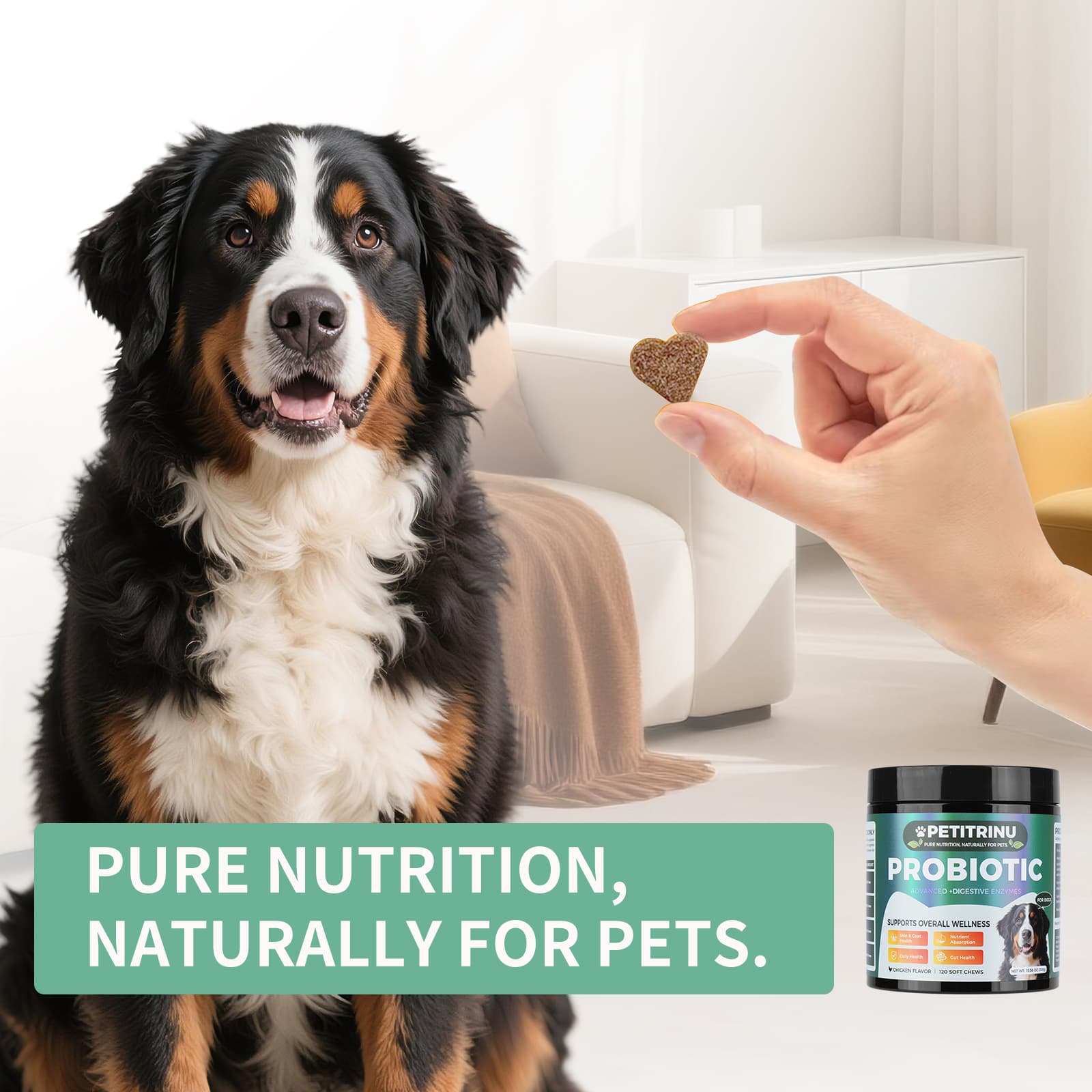 Probiotika & Verdauungsenzyme für Hunde – 120 Kausnacks – Produktbild