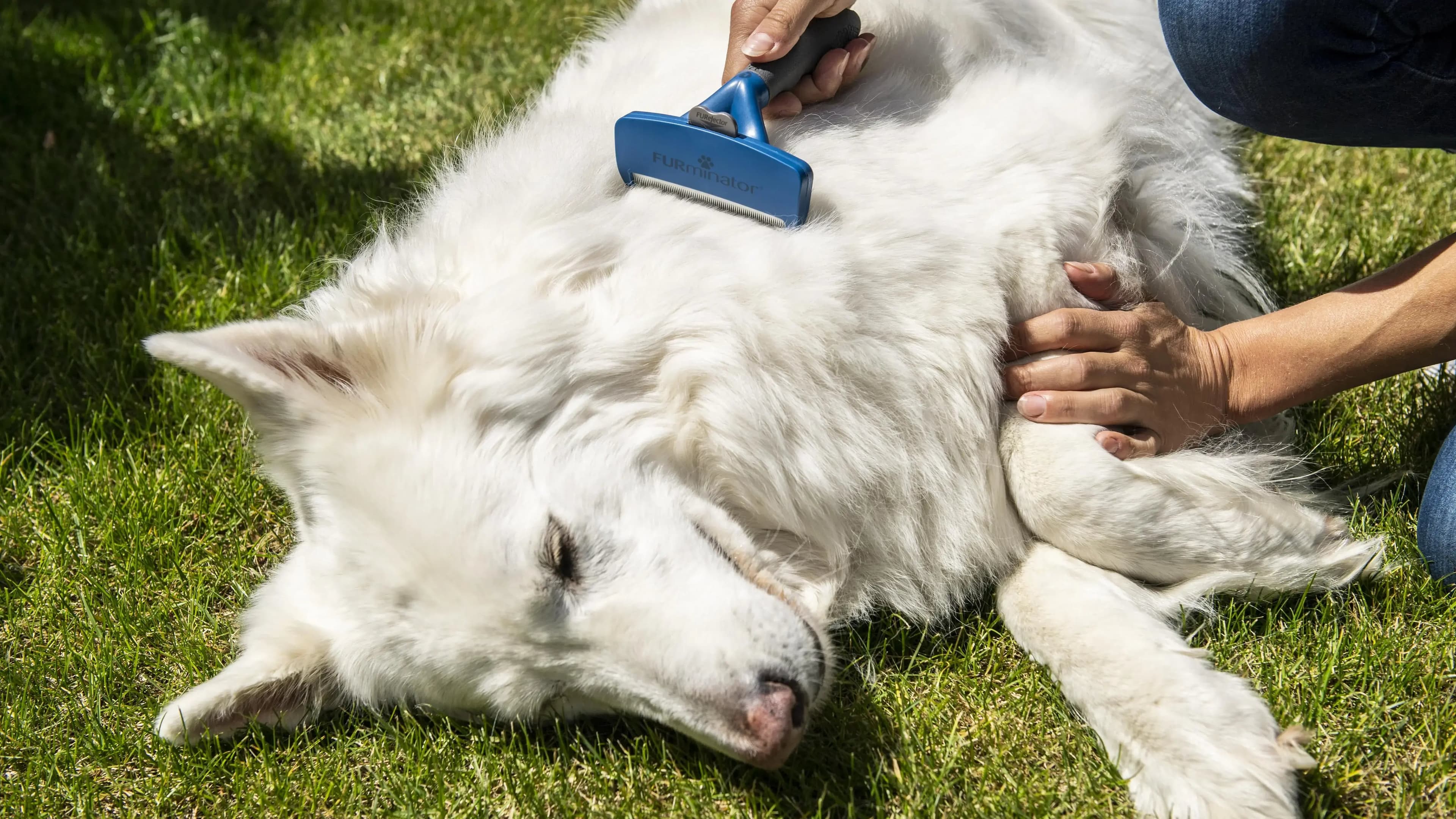 Furminator deShedding Tool für kurzhaarige sehr große Hunde – Produktbild