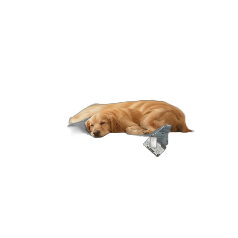 Lebon Hundebett Paula 2 - 100x75cm - Grau – Produktbild