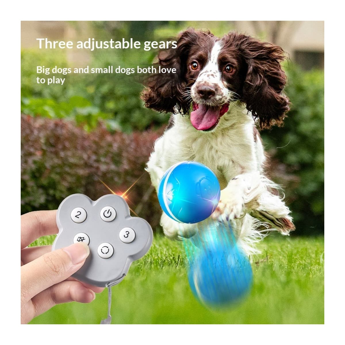 Elektrischer Selbstbeschäftigungs-Ball für Hunde – automatisch rollend – Produktbild