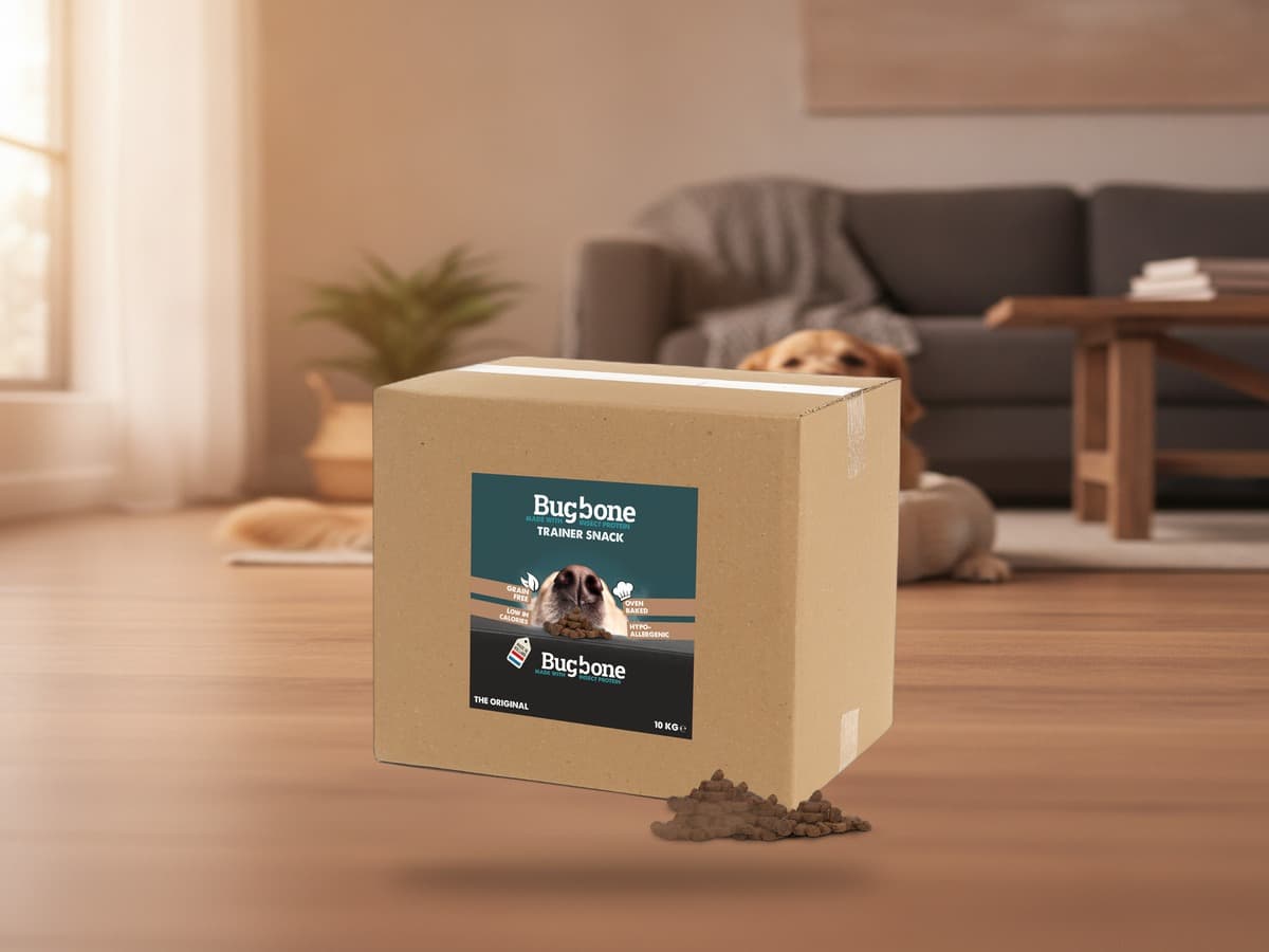 Bugbone Bulkverpackung Trainer Snack 10 kg – Produktbild