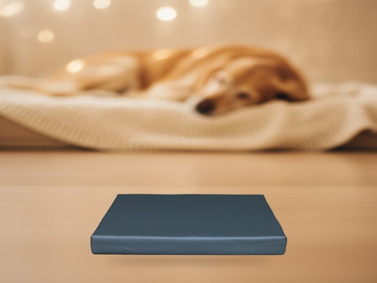 HD Hundebett XL – Hofman Animal Care