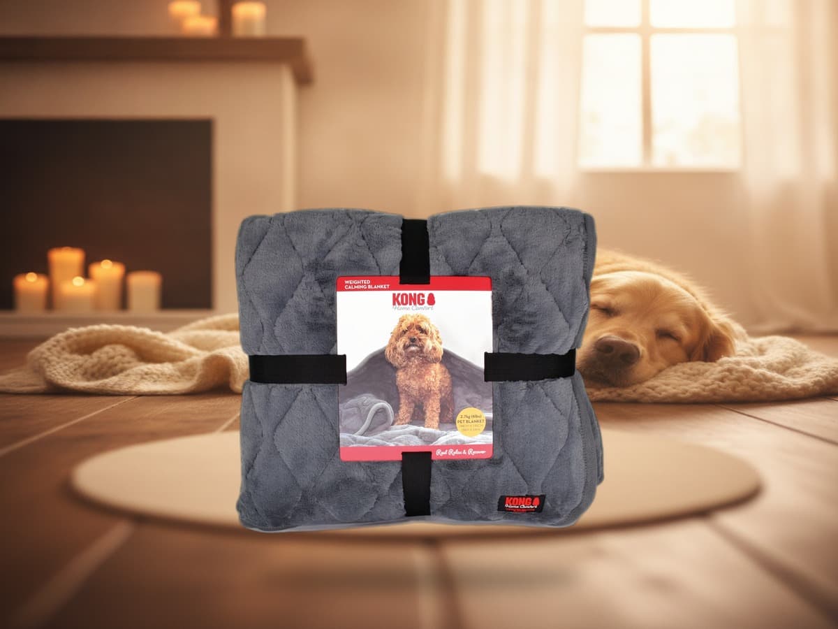KONG Calming Blanket – Beruhigungsdecke für Hunde gegen Stress – Produktbild