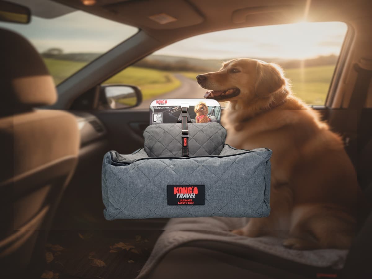 KONG Travel – Sicherheits-Autositz für Hunde