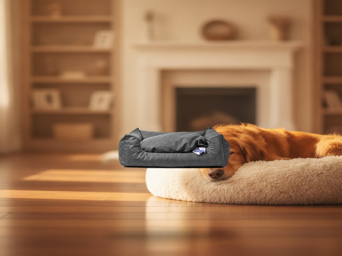Let's Sleep Sweet Dreams Hundekorb Mit Kissen L Anthrazit – Produktbild