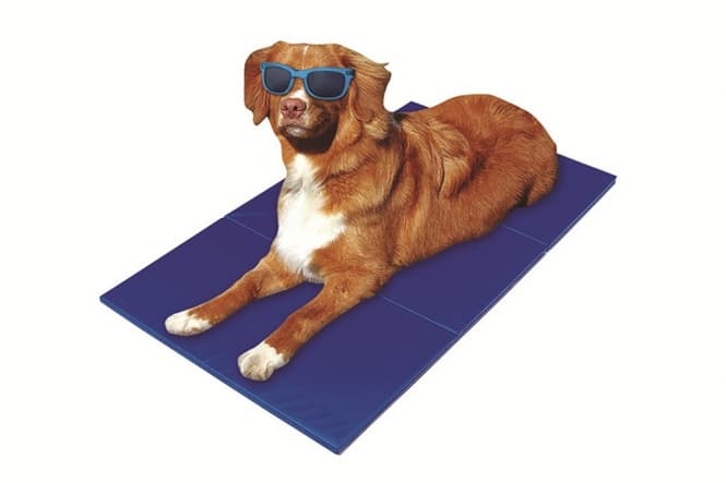 Haustier-Star Kühlmatte - 65 x 50 cm