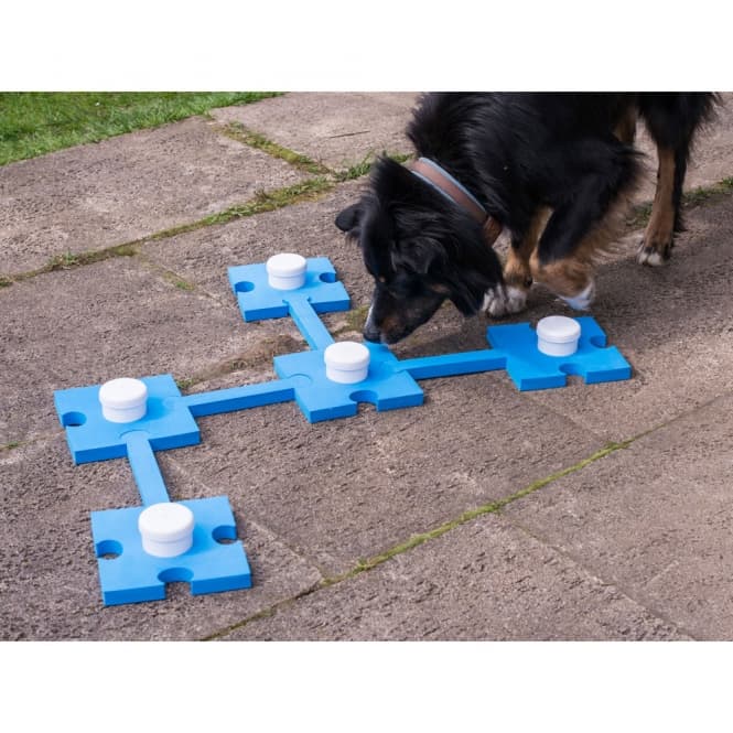 PROCYON Schnüffeltraining-Set mit Klicker – Nasenarbeit für Hunde