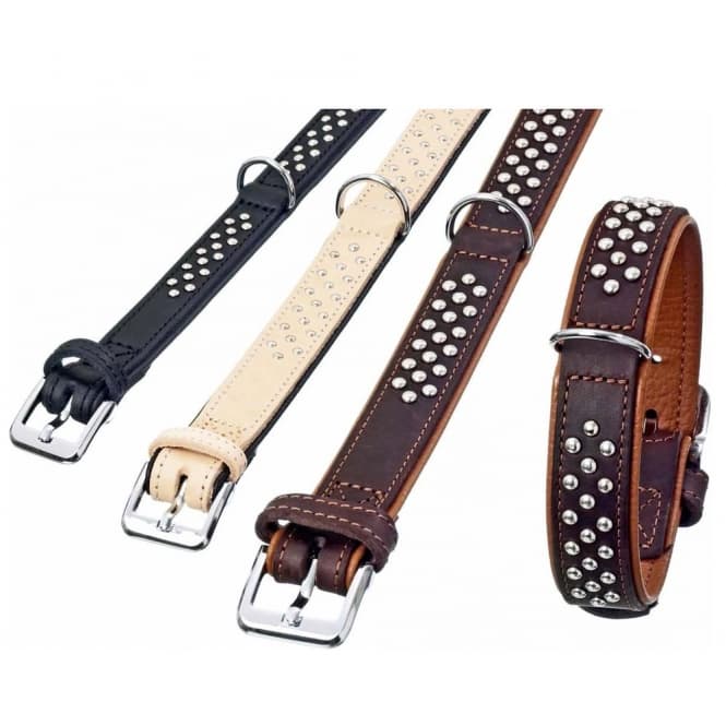 Karlie Rondo Halsband unterlegt mit Rundkopfnieten - Schwarz - 35mm/57cm: Produktbild