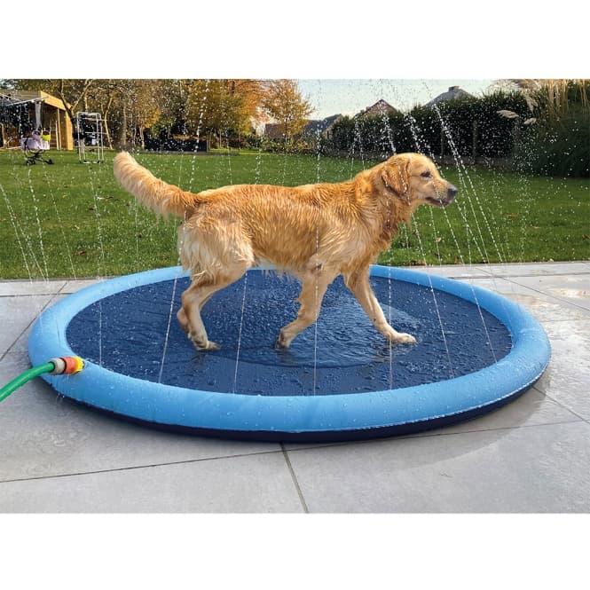 Duvoplus Wasserspielmatte zum Plantschen für Hunde: Produktbild