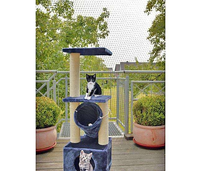 Balkon für Katzen sichern: Klettern ohne Risiko