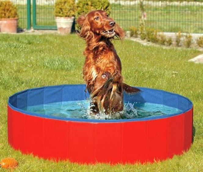 Karlie DOGGY POOL der Swimmingpool für Hunde - Rot-Blau: Produktbild