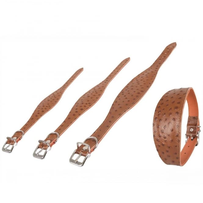 Karlie Windhund-Halsband Ventus: Produktbild