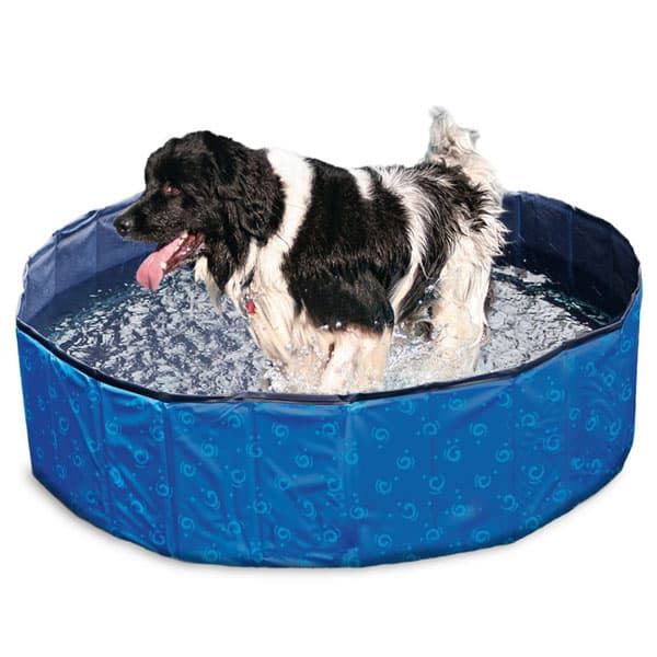 Karlie Flamingo DOGGY POOL Swimmingpool für Hunde - Blau gemustert: Produktbild